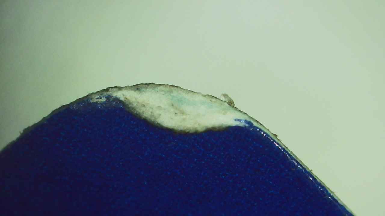Lab Image 1