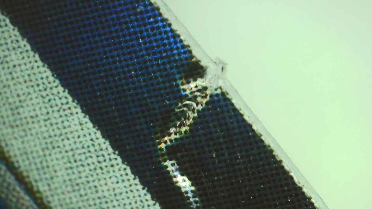 Lab Image 6