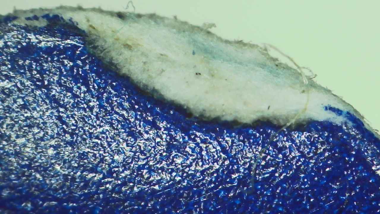 Lab Image 7
